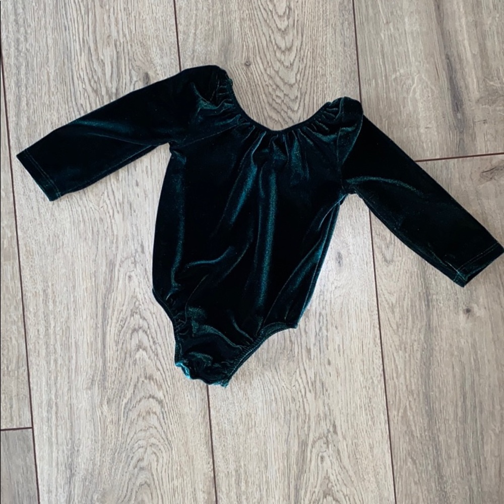 Baileys Blossoms Boutique green velvet leotard